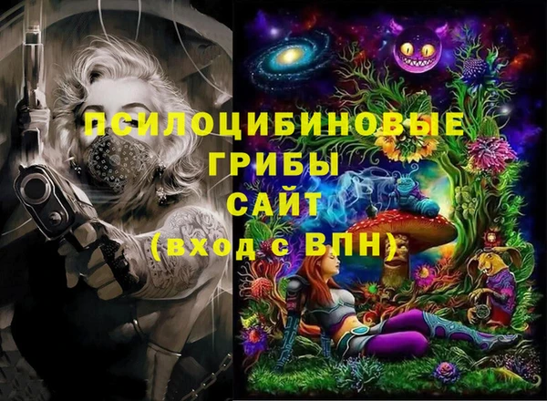 бошки Алексеевка