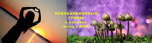 гидропоника Алзамай