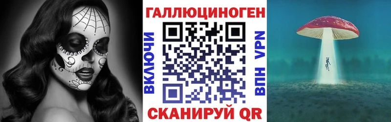 где купить   Уварово  Галлюциногенные грибы Magic Shrooms 